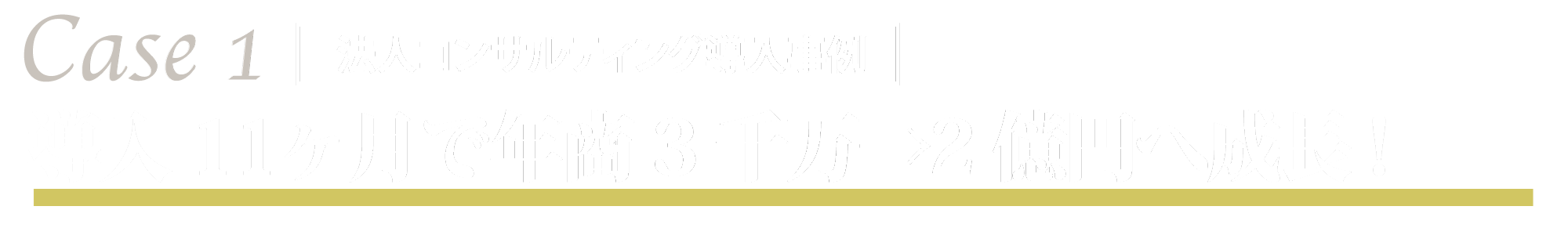 法人コンサルティング導入事例