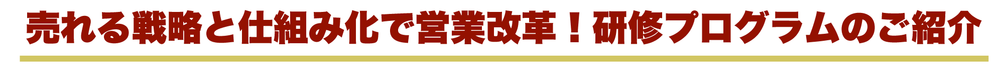 売れる戦略と仕組み化で営業改革！研修プログラムのご紹介