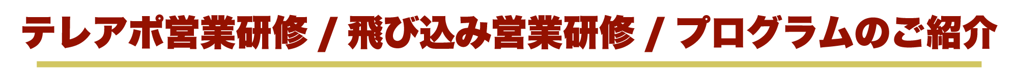 テレアポ営業研修/飛び込み営業研修/プログラムの紹介