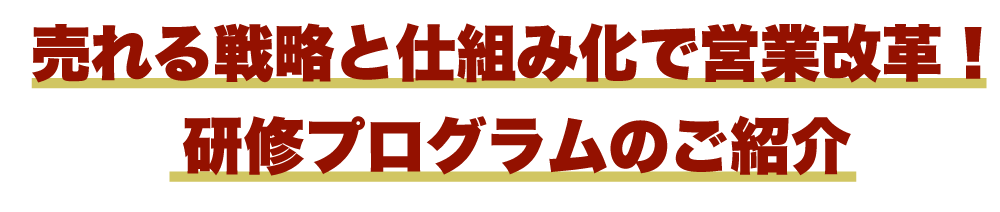 売れる戦略と仕組み化で営業改革！研修プログラムのご紹介