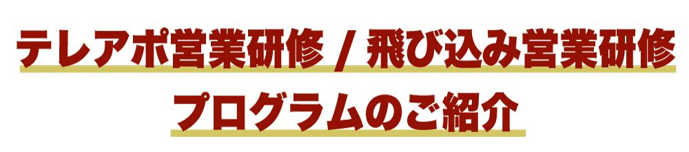 テレアポ営業研修/飛び込み営業研修/プログラムの紹介