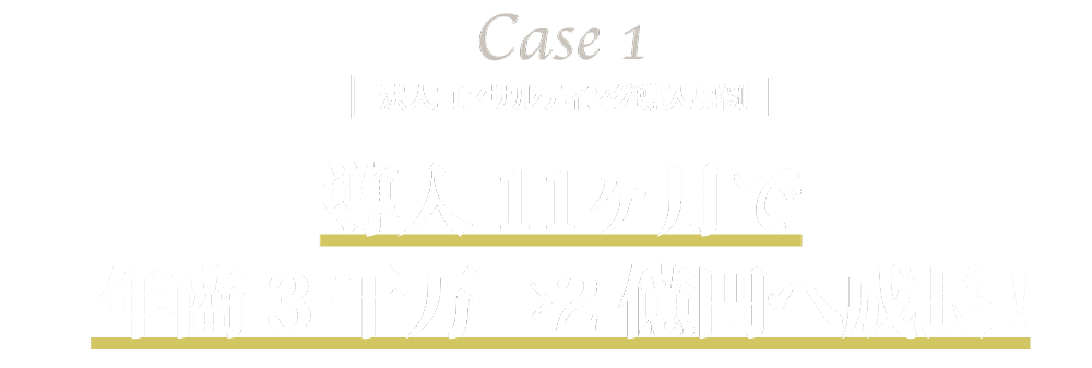 法人コンサルティング導入事例